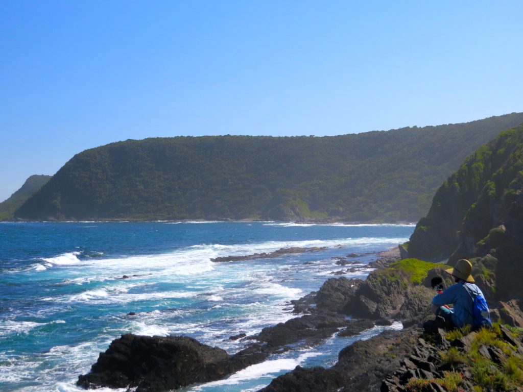 Rocky Shoreline of South Africa's Garden Route